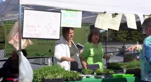 Local Farmers Markets